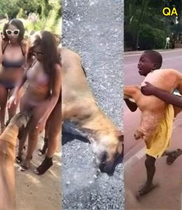 HT4. If your dog is sniffing your genital area, it means you have…see more.