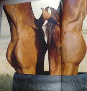 ST4. Innocent Photos That Prove You Have a Very Dirty Mind