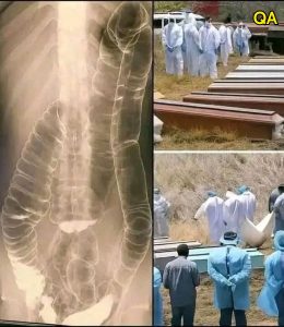 HT4. Worldwide alert to the vaccinated…See more