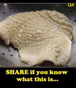 HT15. This Strange-Looking Ingredient Is a Global Delicacy—Here’s Why Everyone Loves It