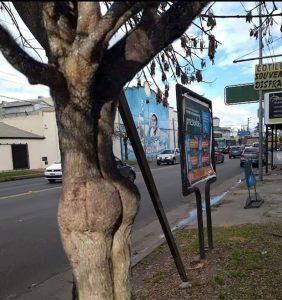 ST4. This Perfectly Innocent Quiz Will Reveal Whether You Have A D!rty Mind