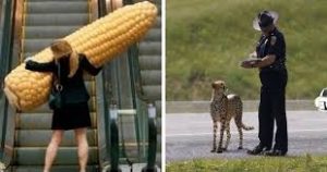 ST4. 29 Innocent Photos That Prove You Have A Dirty, Dirty Mind (Sry)