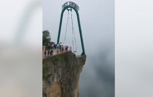 HT19. Fairgoer Survives Terrifying Fall from Sky