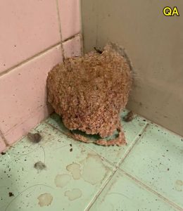 HT4. The Strange Bathroom Discovery That Left a Family Searching for Answers