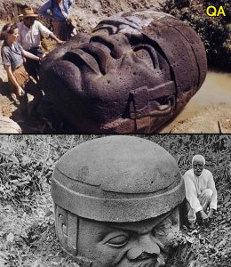 HT4. The Olmecs Moved Massive Stone Heads Across Jungles Without Wheels or Animals
