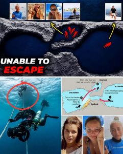 HT4. “FIVE DIVERS WENT INTO THE MALDIVES CAVES… NONE EVER MADE IT OUT” — Investigators Now Believe One Critical Human Error Triggered the Entire Tragedy