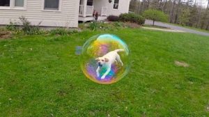 ST4. 28 Perfectly Timed Photos That Will Make You Look Twice