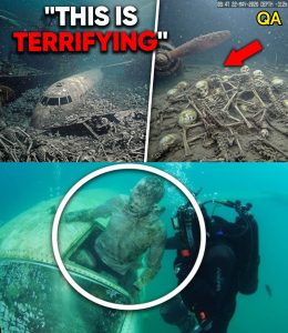 HT4. A Drone Reached The Bottom of The Bermuda Triangle…