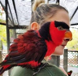 ST4. 13 Photos That Are So Confusing, Even Doing a Double Take Won’t Help You