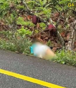 HT4. They find this young woman dead simply for being…See more
