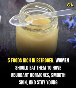 HT13. 5 Foods Rich in Phytoestrogens: What Science Says About Supporting Hormonal Health Naturally