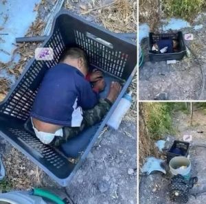 HT10. This approximately 2-year-old boy was found… See more