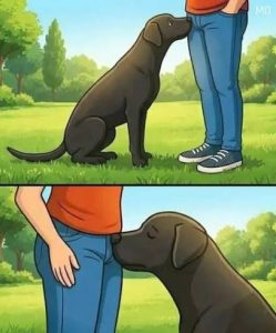 HT5. Did you know that if a dog smells your parts it’s po…See more
