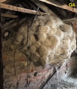 HT5. Man Discovers Shocking Secret Hidden Inside Attic Nest