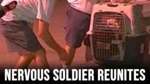 HT4. Nervous soldier reunites with war dog on live TV – opens cage and sees if she still remembers him