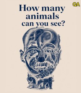 HT4. How Many Animals Are Hidden?