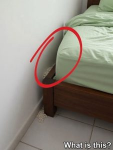 HT5. I Returned Home After A Grueling Day Only To Find A Nest Of Reptilian Eggs Beside My Bed
