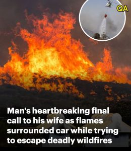 HT9. British man who perished in Spanish wildfires after going back to rescue cats made final heartbreaking call to wife as flames surrounded car – as authorities to identify at least 12 people