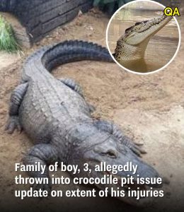 HT5. Family of boy, 3, allegedly thrown into crocodile pit issue update on extent of his injuries