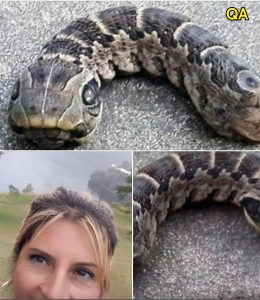 HT4. What on Earth is this? Woman discovers creepy ‘snake’ with two heads in her garden