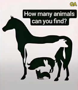 HT4. This Visual Test Offers Insight Based on the First Animal You Notice