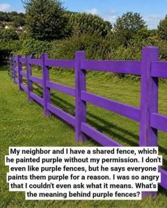 HT10. If You See a Painted Purple Fence, This Is What It Means