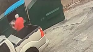 HT4. Injured Dog Found in Dumpster Sparks Investigation Into Owner
