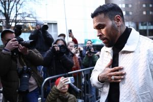 HT4. Chris Brown Must Pay Housekeeper $13 Million for Dog Mauling