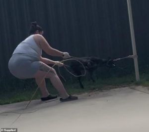 HT4. Aussie woman avoids jail after ‘wicked’ abuse of a one-year-old puppy for chewing her stuff after she is caught on camera
