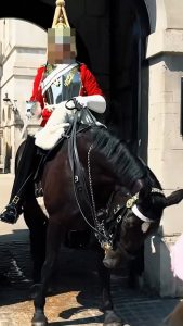 HT7. Moment King’s Guard horse nearly passes out in 30C heat as soldier is forced to sound emergency alarm