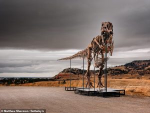 HT7. Scientists’ fury as 67-million-year-old T. rex skeleton fetches record-breaking £37m – and disappears into private hands