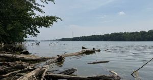 HT9. 5 dead after group enters Ohio river to help struggling swimmer