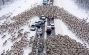 HT9. On the highway drivers became witnesses to a Christmas miracle