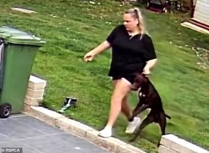 HT5. Pet sitters caught on camera kicking and dragging family dog they were paid £1,400 to look after while owners were on holiday