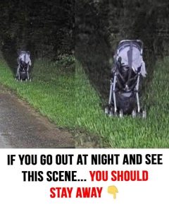 HT9. If you find an abandoned stroller at the roadside, here’s why you might want to wait before getting out of your vehicle