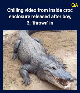 HT5. Chilling video from inside croc enclosure released after boy, 3, ‘thrown’ in