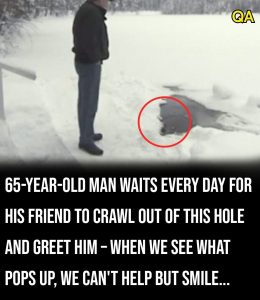 HT4. Elderly man waits every day for his friend to crawl out and greet him