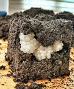 HT5. The Hidden Garden Invasion: Why I Never Ignore Strange White Balls in My Soil