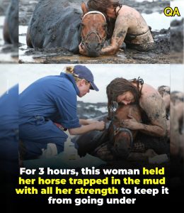 HT5. A Horse, a Rising Tide, and Three Hours of Hope: The Incredible Rescue of Astro on an Australian Beach