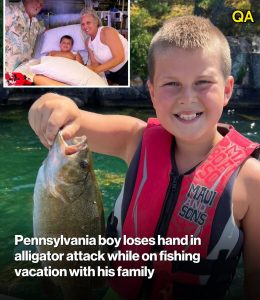 HT9. Hero dad saves son from horrific alligator attack after beast took the boy’s hand