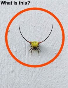 HT5. Last night, I went into the garage, turned on the light, and saw this on the wall