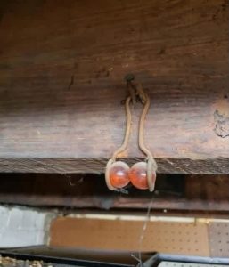 HT13. I found this hanging from the basement rafters of my 100 year old house. It appears to be two marbles or something similar in a hanger of some sort. Any one have a clue what this could be?”