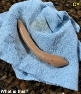 HT10. This evening, I went into my girlfriend’s bathroom and found this on the floor
