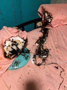 HT9. Why Firefighters Warn Against Sleeping Beside a Charging Phone