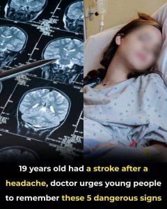 HT9. THE STROKE KILLER: 5 Terrifying Ways Your Body Is Sabotaging You Before A Massive Stroke
