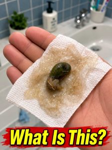 HT5. A Mysterious Discovery on Our Bathroom Floor Left Us Searching for Answers