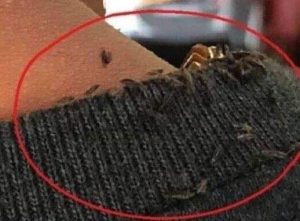 HT5. He got on the bus, but when he saw what was coming out from under the driver’s coat, he was horrified…
