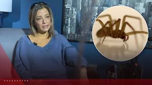 HT7. Mother of 4 fighting for her life after multiple spider bites during campfire