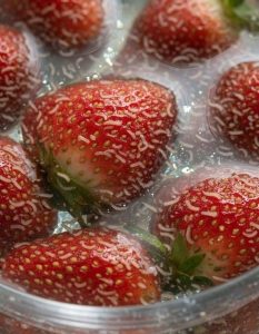 HT7. The Strawberry Surprise: What Tiny White Creatures in Your Berries May Really Mean