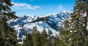 HT9. Cause Of Death Of 9 Skiiers Killed In Tahoe Revealed Months After They Died